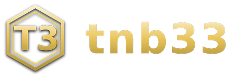 tnb33 logo